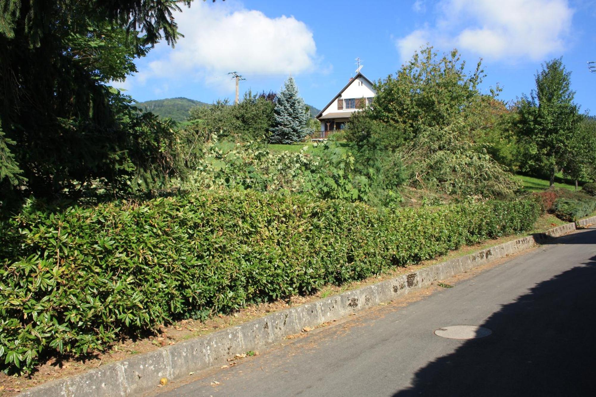 Gite Bellevue Breitenbach エクステリア 写真