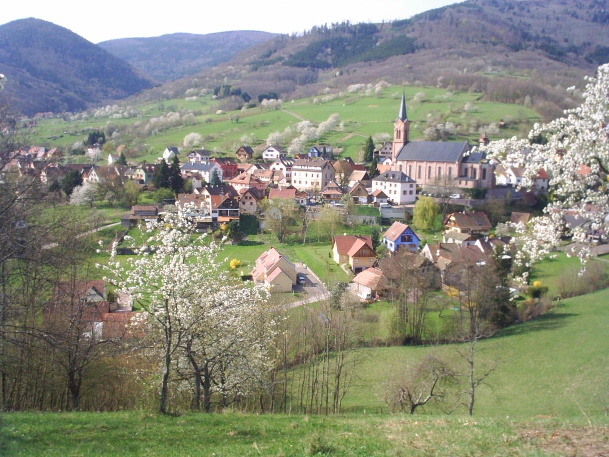 Gite Bellevue Breitenbach エクステリア 写真