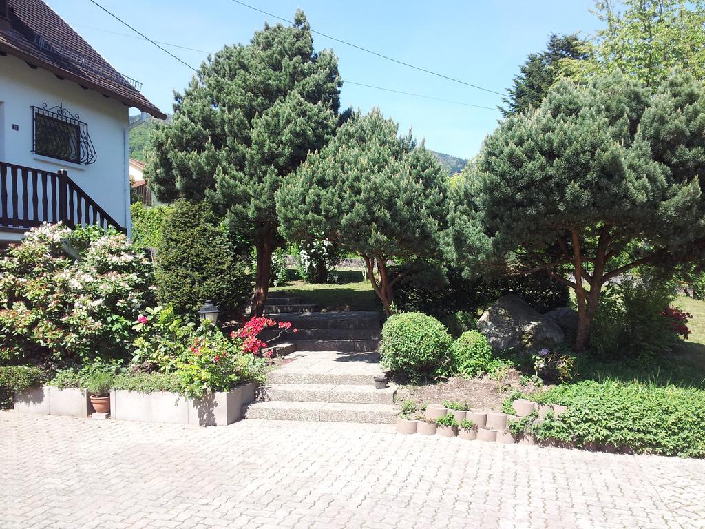 Gite Bellevue Breitenbach エクステリア 写真